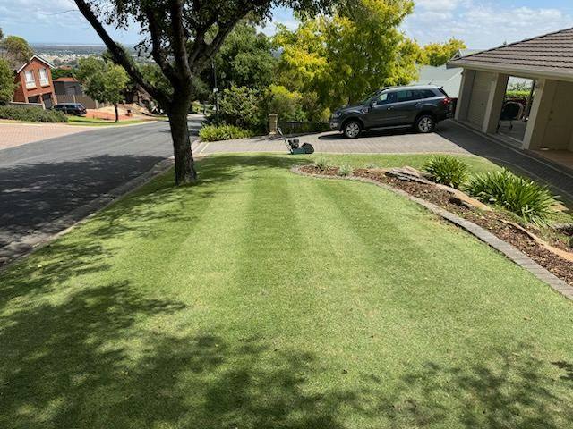 Striped front lawn after a renovation