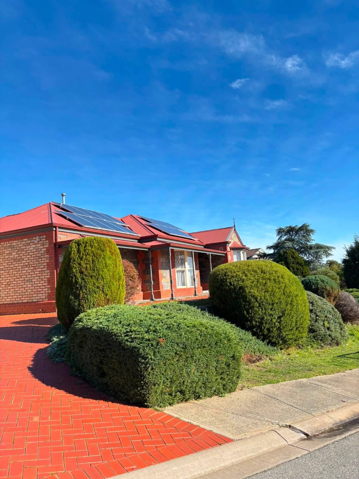 Rounded clipped hedges in a front garden