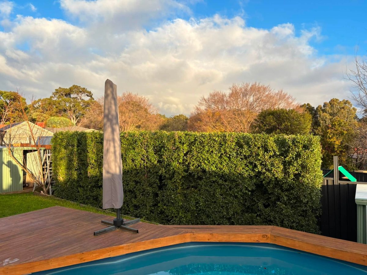 Large trimmed hedge beside a pool deck